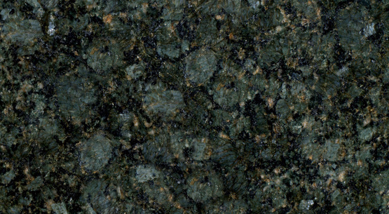 verde_butterfly.jpg