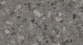 agglostone_ceppo.jpg