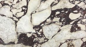 calacatta_viola.jpg